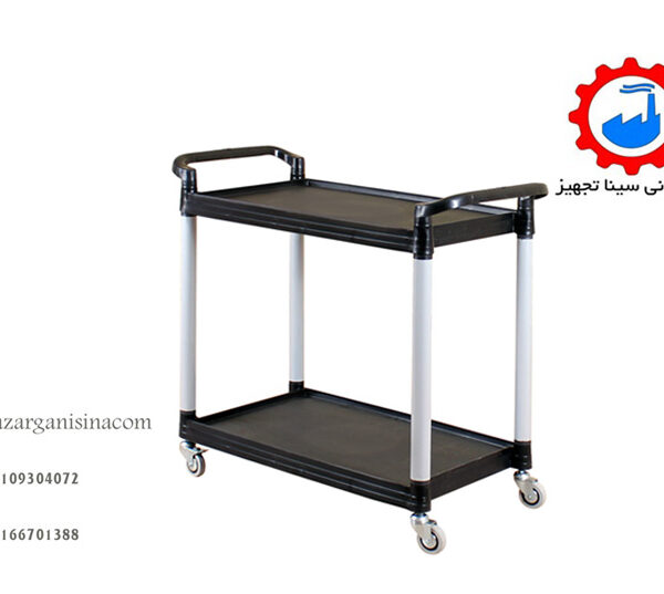 ترالی حمل دو طبقه عکس اصلی (1)